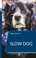 Walter Sofronie: Slow Dog ★★★