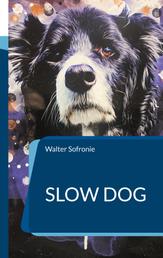 Slow Dog - Ein Hundebuch für das Leben mit dem Hund