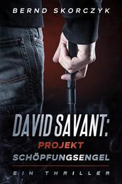 David Savant: Projekt Schöpfungsengel - Ein Thriller