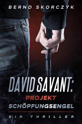 David Savant: Projekt Schöpfungsengel
