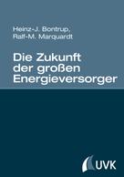 Heinz-J. Bontrup: Die Zukunft der großen Energieversorger 
