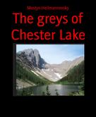 Mostyn Heilmannovsky: The greys of Chester Lake 