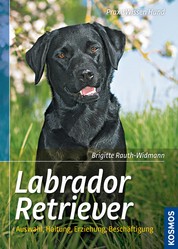 Labrador Retriever - Auswahl, Haltung, Erziehung, Beschäftigung