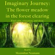 Imaginary Journey: The flower meadow in the forest clearing - Find calm, relaxation, and sleep. With relaxing music