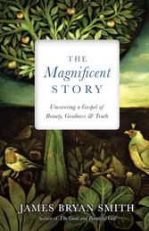 The Magnificent Story - Uncovering a Gospel of Beauty, Goodness, and Truth