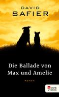 David Safier: Die Ballade von Max und Amelie ★★★★