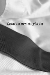 Cacatum non est pictum - Die Woche eines Bankkaufmannes