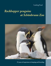 Rockhopper penguins at Schönbrunn Zoo - 35 years of experience in keeping and breeding