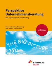 Perspektive Unternehmensberatung 2014 - Das Expertenbuch zum Einstieg. Branchenüberblick, Bewerbung, Case Studies, Expertentipps
