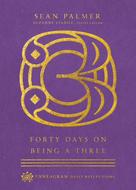 Sean Palmer: Forty Days on Being a Three 