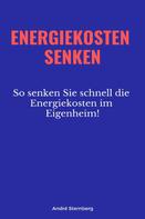André Sternberg: Energiekosten senkenEnergiekosten senken 