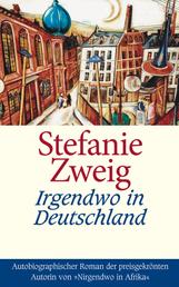 Irgendwo in Deutschland - Autobiographischer Roman