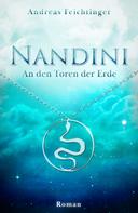 Andreas Feichtinger: Nandini - An den Toren der Erde 