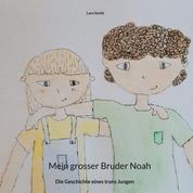 Mein grosser Bruder Noah - Die Geschichte eines trans Jungen
