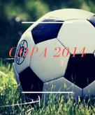 Marinella van ten Haarlen: Copa 2014 