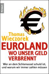 Euroland: Wo unser Geld verbrennt - Wer an dem Schlamassel schuld ist, und warum wir immer zahlen müssen
