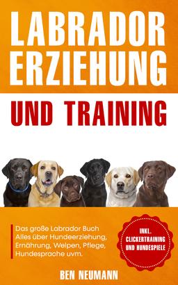 Labrador Erziehung und Training