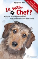 Heinz von Wilk: Is was, Chef? 