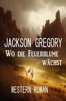 Jackson Gregory: Wo die Feuerblume wächst: Western Roman 