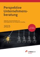 Prof. Dr. Thomas Fritz: Perspektive Unternehmensberatung 2023 