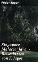 Fedor Jagor: Singapore, Malacca, Java. - Reiseskizzen von F. Jagor 