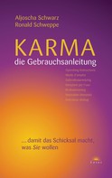 Ronald P. Schweppe: Karma - die Gebrauchsanleitung ★★★★