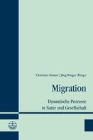 Christian Ammer: Migration 