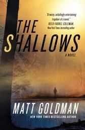 The Shallows - A Nils Shapiro Novel