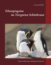 Felsenpinguine im Tiergarten Schönbrunn - 35 Jahre Erfahrung in Haltung und Aufzucht