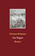 Hartmut Brümmer: Das Wagnis 