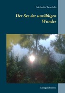 Friederike Twardella: Der See der unzähligen Wunder 