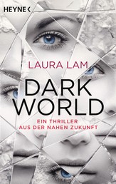 Dark World - Roman