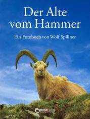 Der Alte vom Hammer - Eine Bilderbuchgeschichte aus den Bergen der Schweiz