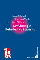 Bernd Schmid: Einführung in die kollegiale Beratung 