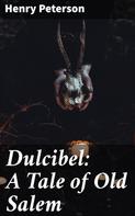 Henry Peterson: Dulcibel: A Tale of Old Salem 