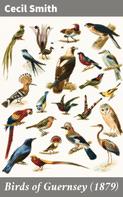 Cecil Smith: Birds of Guernsey (1879) 