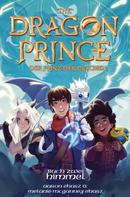 Aaron Ehasz: Dragon Prince – Der Prinz der Drachen Buch 2: Himmel (Roman) ★★★★★