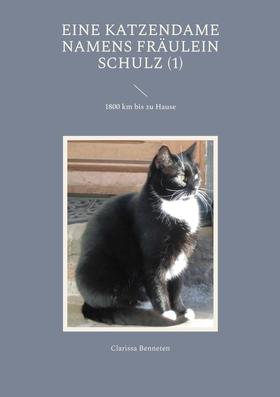 Eine Katzendame namens Fräulein Schulz