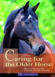 Caring for the Older Horse - How to keep your veteran fit and healthy