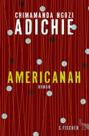 Chimamanda Ngozi Adichie: Americanah ★★★★★