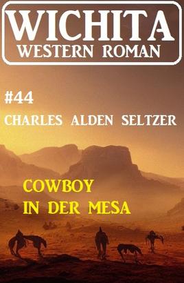Cowboy in der Mesa: Wichita Western Roman 44