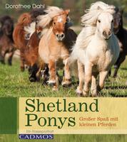 Shetlandponys - Großer Spaß mit kleinen Pferden