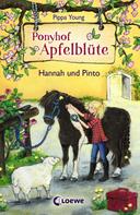 Pippa Young: Ponyhof Apfelblüte (Band 4) - Hannah und Pinto 