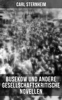 Carl Sternheim: Busekow und andere gesellschaftskritische Novellen 