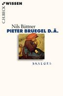 Nils Büttner: Pieter Bruegel d.Ä. 