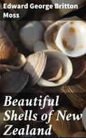 Edward George Britton Moss: Beautiful Shells of New Zealand 