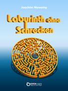 Joachim Nowotny: Labyrinth ohne Schrecken 