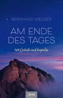 Bernhard Meuser: Am Ende des Tages 