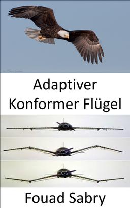 Adaptiver Konformer Flügel