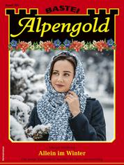 Alpengold 391 - Allein im Winter